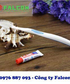 Bàn chải đánh răng khách sạn cao cấp Falcon