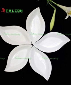 Đĩa hình lá cao cấp dành cho khách sạn, nhà hàng